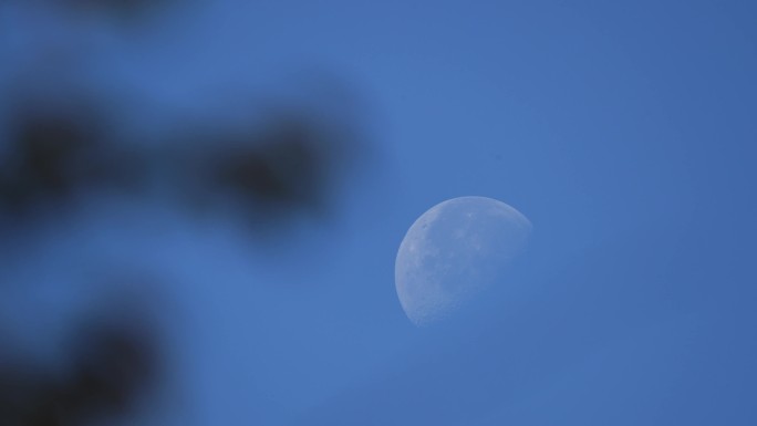 月亮 早上的月亮 飞机飞过月亮