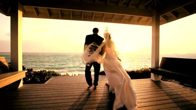 幸福的夫妇穿着婚纱观看日落