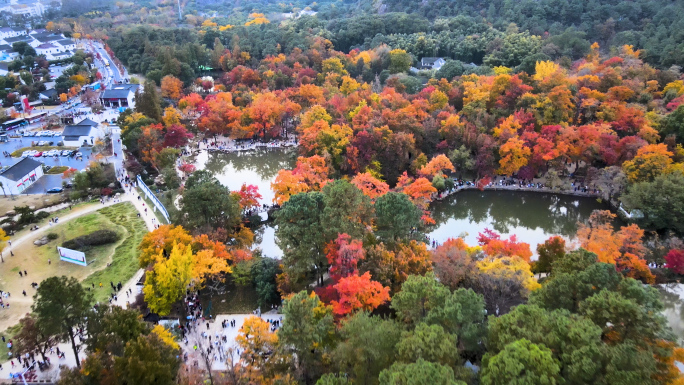 航拍苏州天平山秋景（新）