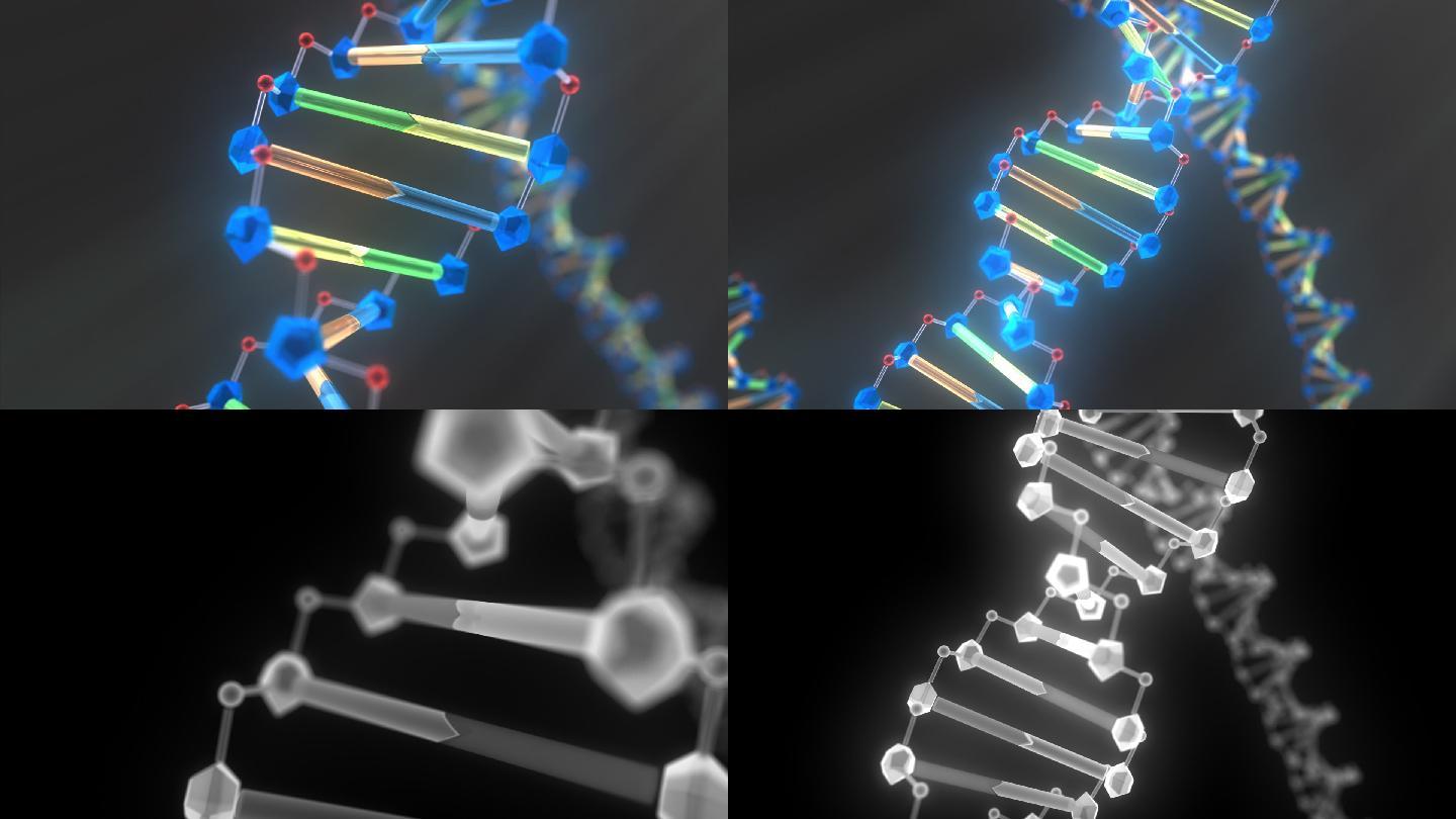 高质量的3D动画渲染DNA分子