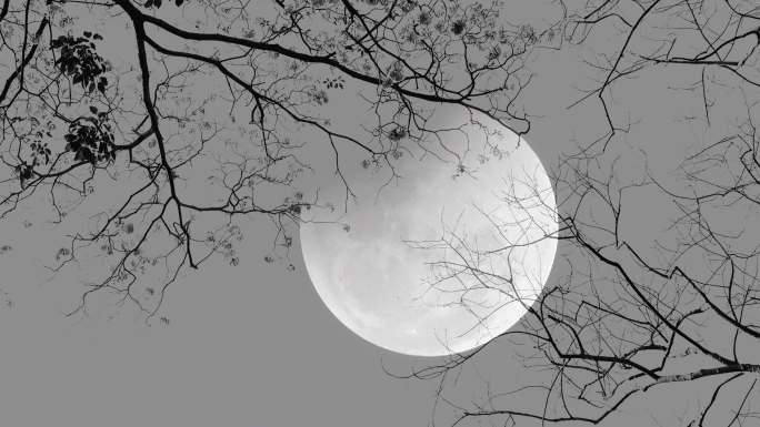 满月之夜阴森圆月月圆之夜