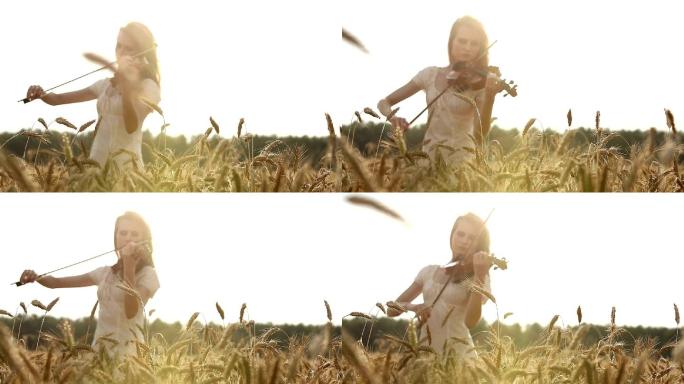 小提琴家在麦田里拉小提琴