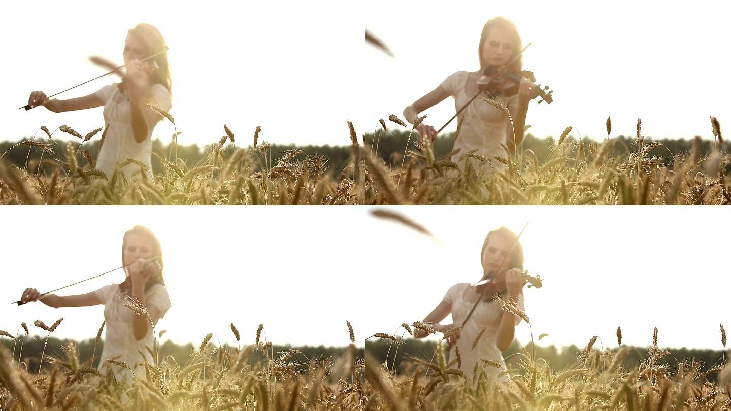 小提琴家在麦田里拉小提琴