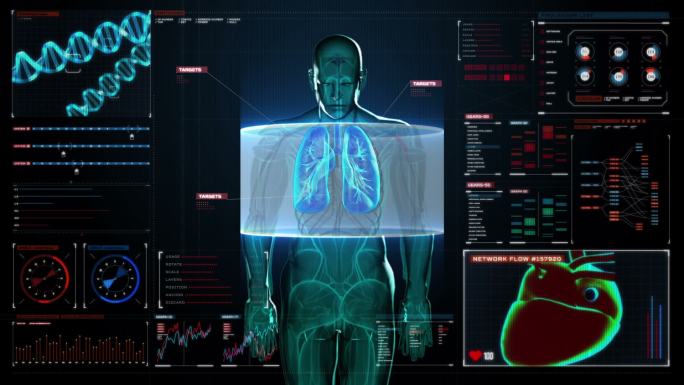 身体扫描。冠状动脉肝脏生物医学插图