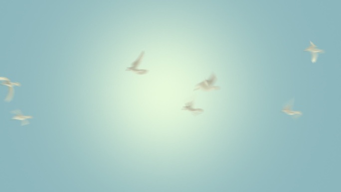 一群鸟飞行的动画和平鸽飞翔白色鸽子
