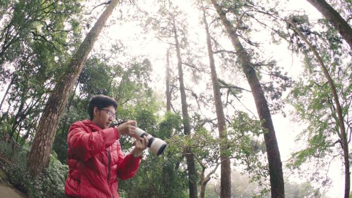 摄影师使用长焦镜头拍摄松树林