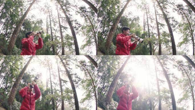 摄影师使用长焦镜头拍摄松树林