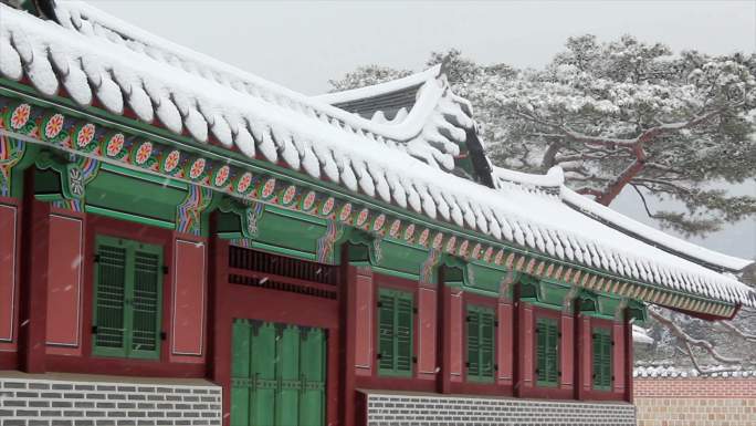 冬季暴风雪中的屋顶。