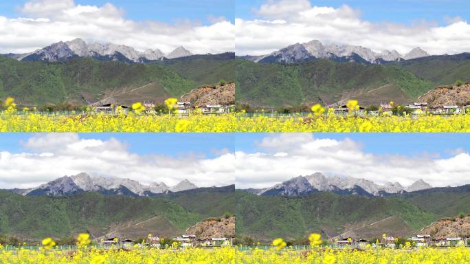 香格里拉风景农场农田山区高原