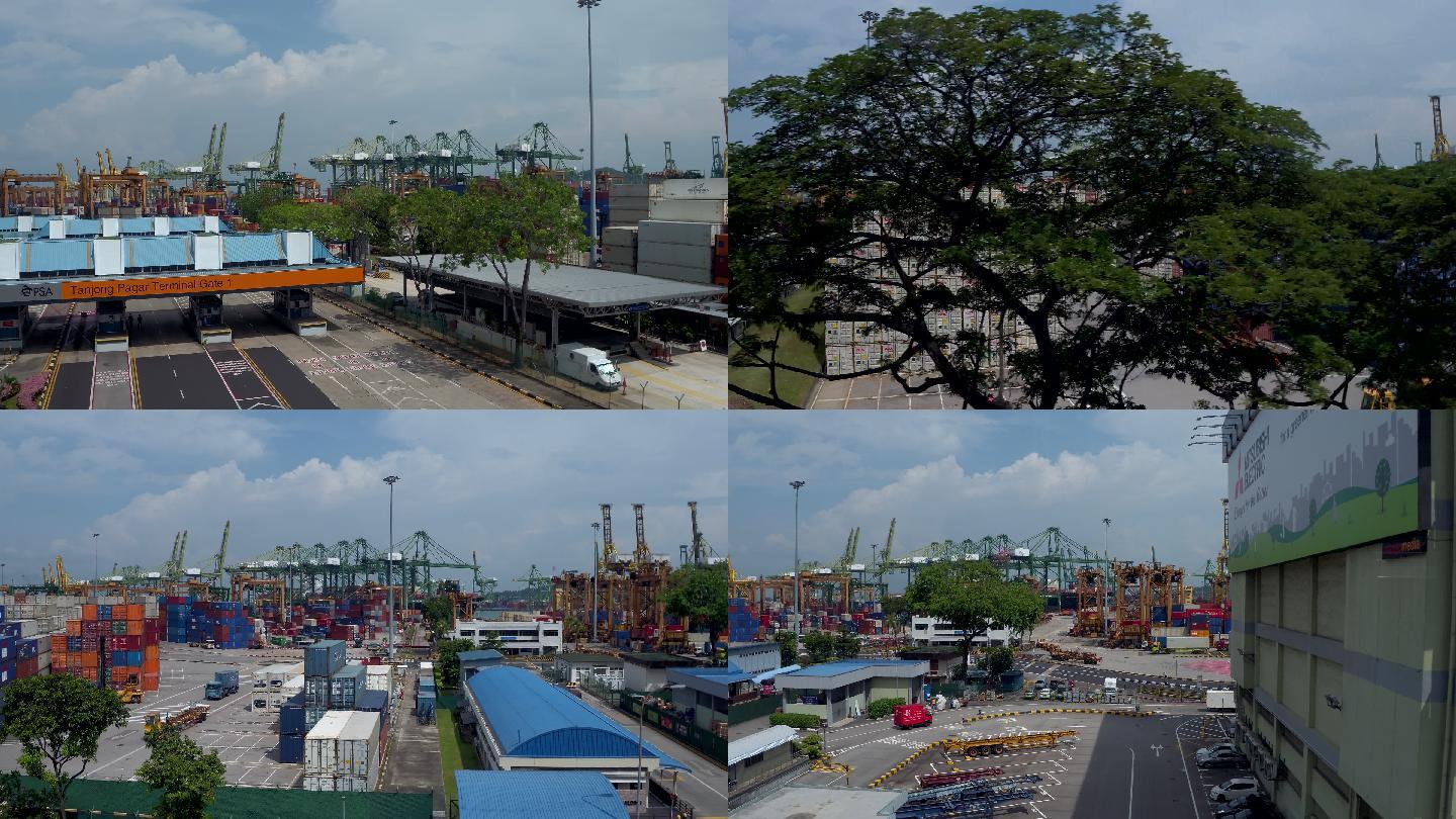 在行驶的车辆上看到的新加坡港口