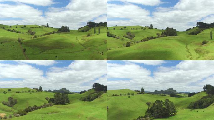 在新西兰美丽葱郁的绿色景观上空飞行