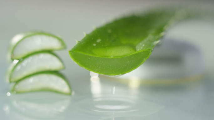 芦荟成分水滴叶子水