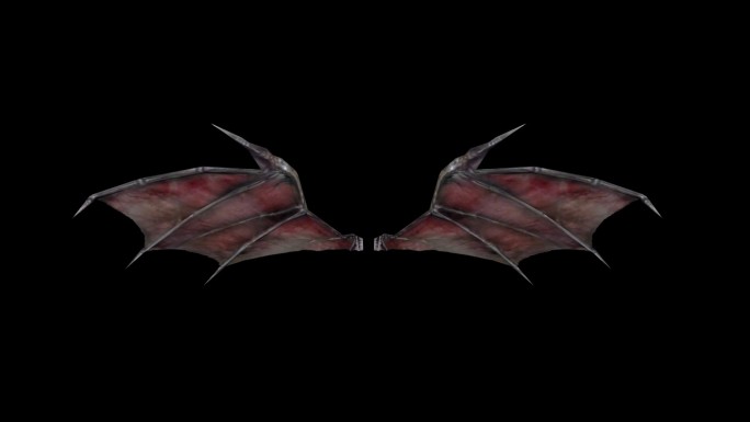 蝙蝠翅膀挥动带通道