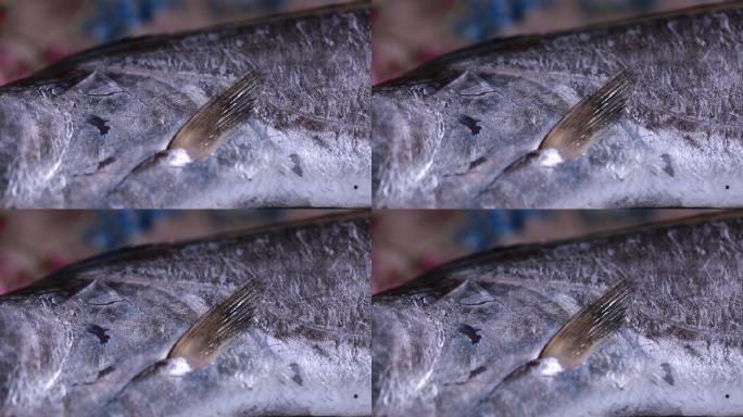 新鲜带鱼鱼鳞鱼眼睛特写  (4)