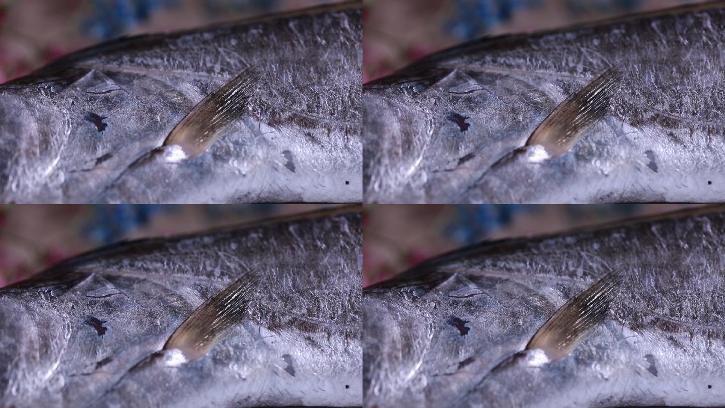 新鲜带鱼鱼鳞鱼眼睛特写  (4)