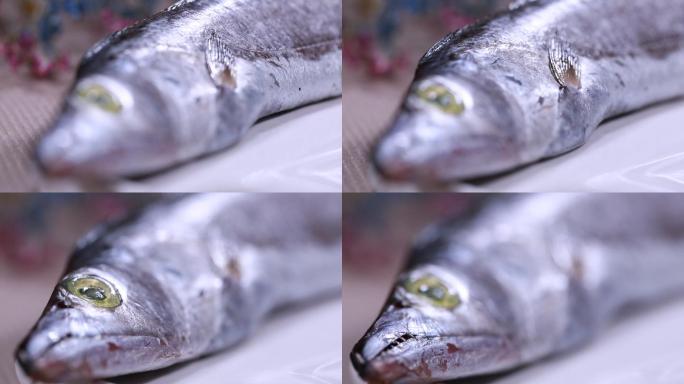 新鲜带鱼鱼鳞鱼眼睛特写  (5)