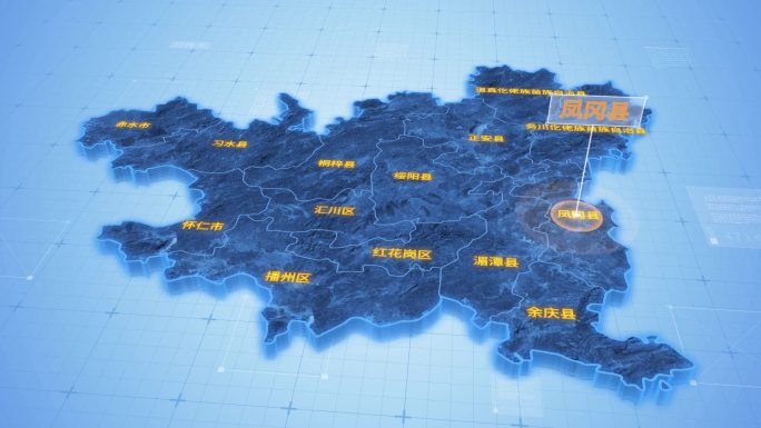贵州遵义凤冈县三维科技感地图