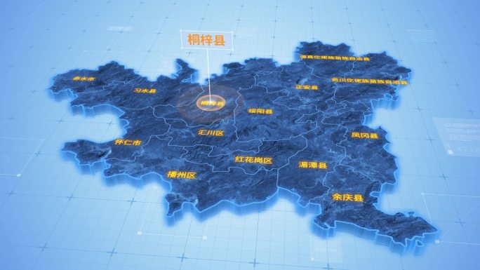 贵州遵义桐梓县三维科技感地图