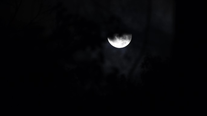 晚上月亮黑夜月色农村