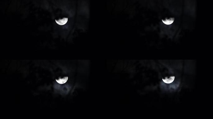 晚上月亮黑夜月色农村