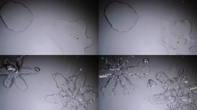 两片雪花是由水滴形成的