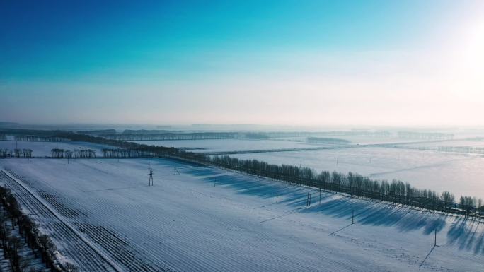 乡村雪景田地大雪