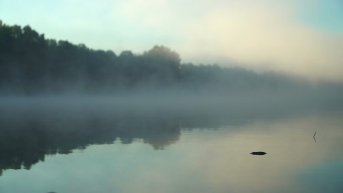 清晨时的河流晨雾雾气湿地