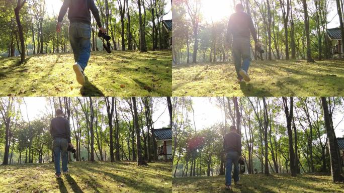 摄影师走在阳光树林