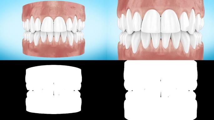牙齿3d动画