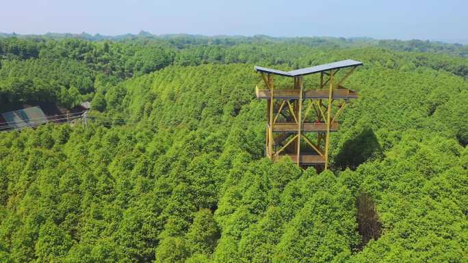 宜宾油樟王国廉政教育基地