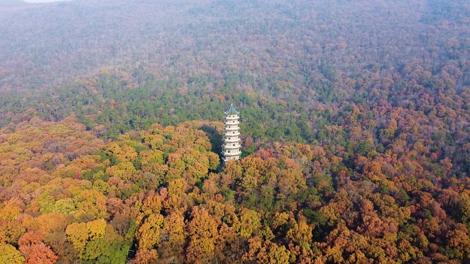 4k航拍南京灵谷寺