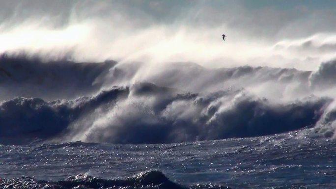 海洋风暴景观大海巨浪海浪翻滚飞鸟海燕