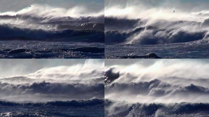 海洋风暴景观大海巨浪海浪翻滚飞鸟海燕