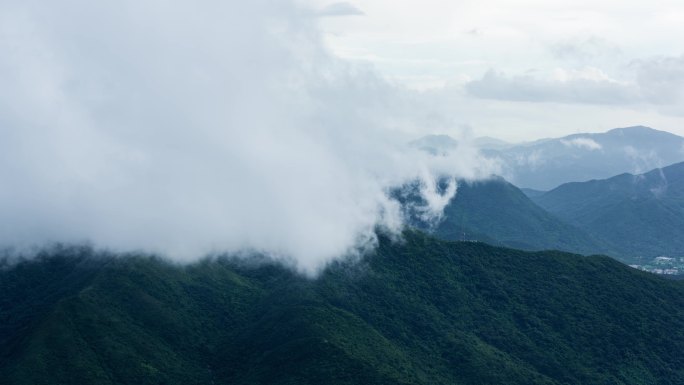 深圳梧桐山雨后云海延时视频