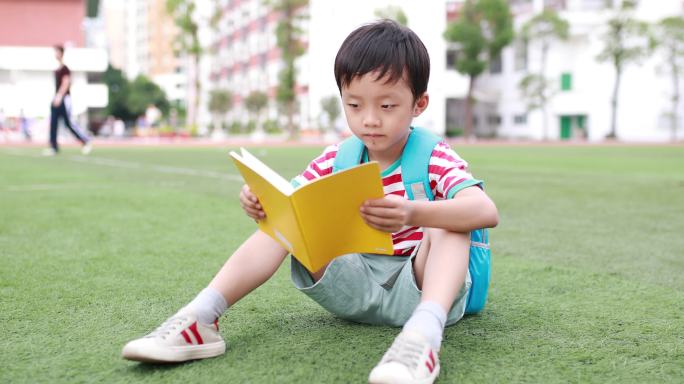 小男孩在学校读书喜爱看书的少年欢乐亲子时