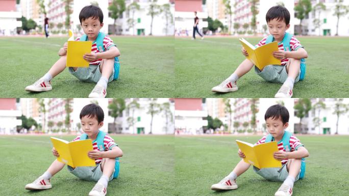 小男孩在学校读书喜爱看书的少年欢乐亲子时