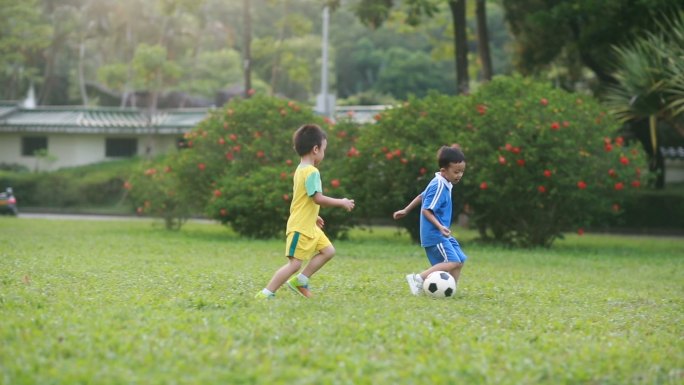 踢足球的男孩小朋友踢足球草坪上追逐小孩奔