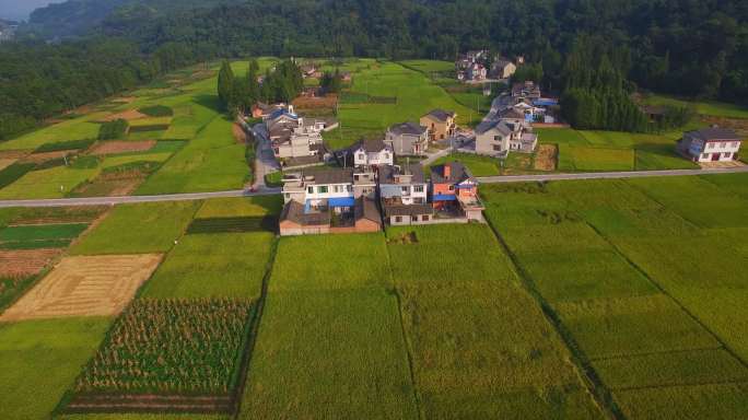 秋日稻田旁的中国村庄鸟瞰图