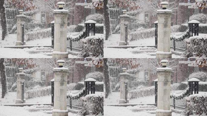 剑桥大学雪景2