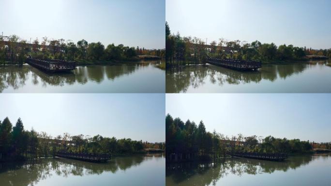 宁波植物园秋季水上森林航拍