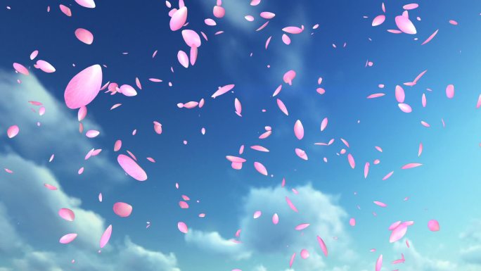粉红色的花瓣在蓝天下飞舞