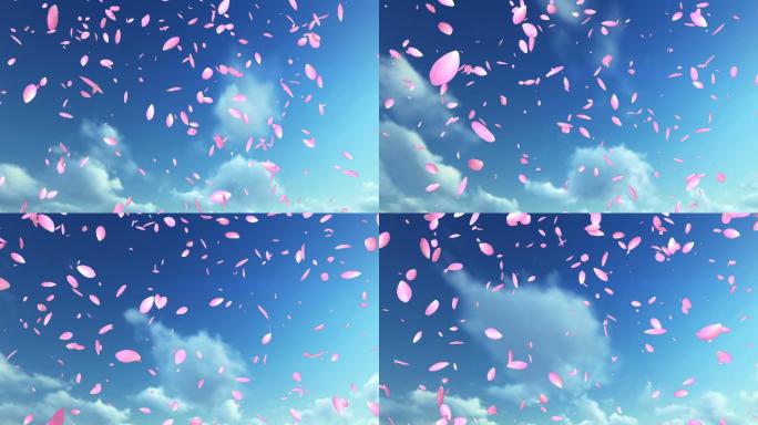 粉红色的花瓣在蓝天下飞舞