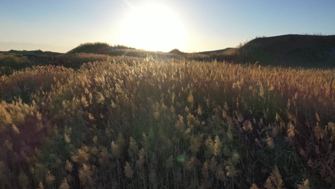 山地丘陵草场夕阳