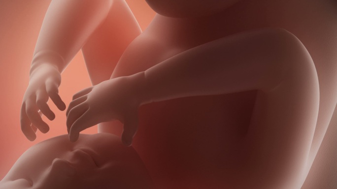 胎儿在妈妈肚子里的时候