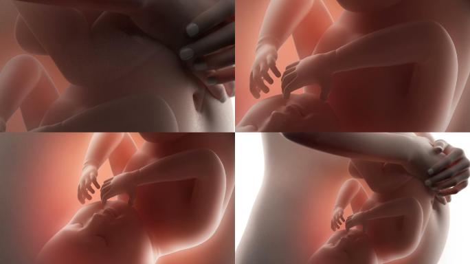 胎儿在妈妈肚子里的时候