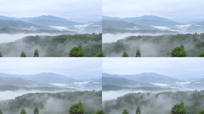 生态绿水青山群山连绵白雾雾景延时