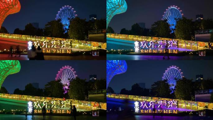 欢乐港湾摩天轮美丽城市夜景延时