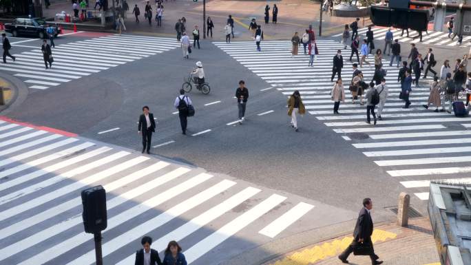 日本涩谷红绿灯交通街道人行道斑马线