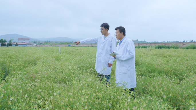 中药材种植研究检测