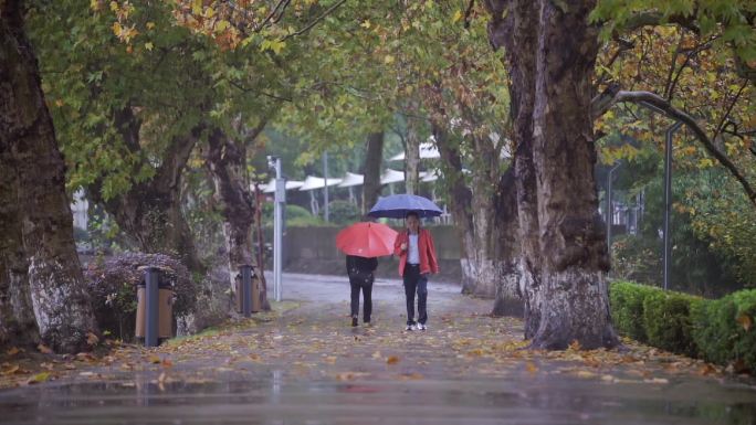 秋意落叶雨中的行人